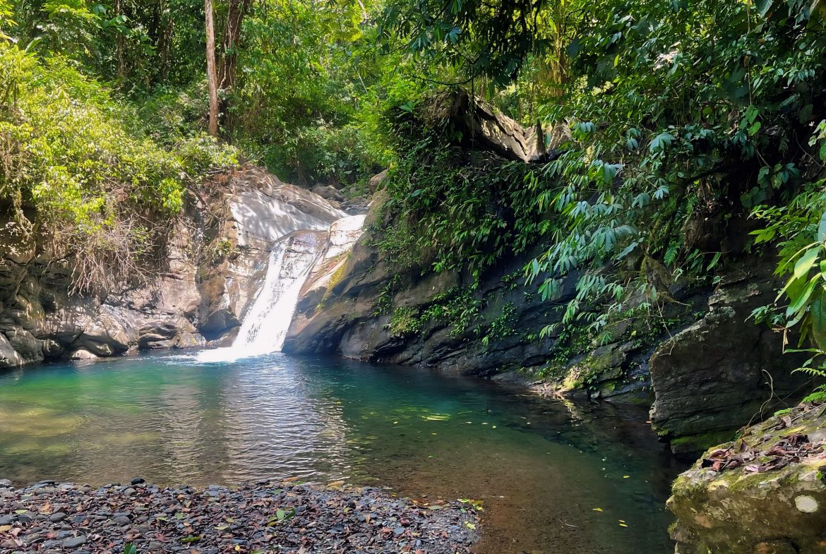 JUNGLE DREAMS FARM: WHERE NATURE MEETS SERENITY – 20 ACRES